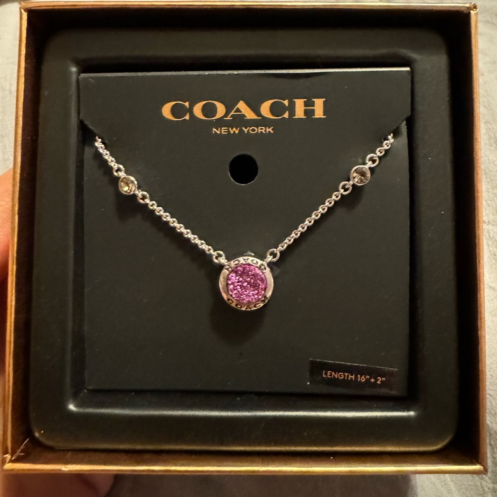 Coach Purple Stone Necklace